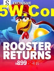 Crash Games Strategies 899Bet